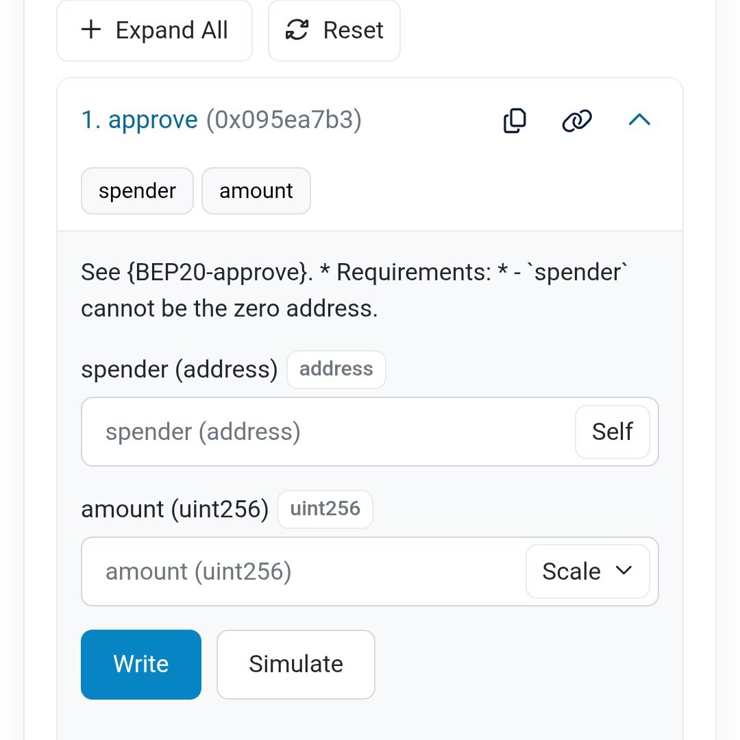 The approve function expanded on BscScan's Write Contract page