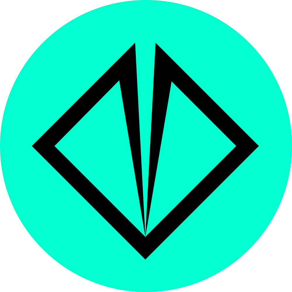 Xelis Icon